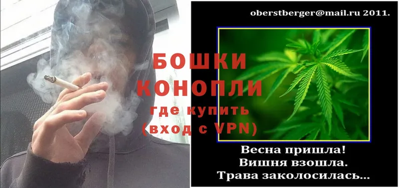 как найти закладки  Райчихинск  даркнет телеграм  Канабис OG Kush 